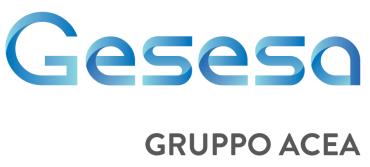 La qualità del Servizio erogato dalla GE.SE.SA. SpA è conforme a quanto stabilito dalla CARTA DEI SERVIZI che costituisce elemento integrante e qualificante della presente Politica della Qualità.