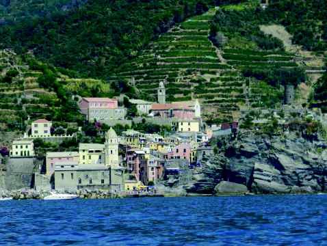 Mercoledi 23 Maggio Le viti delle Cinque Terre Trekking e incontro con il produttore (az. Agricola Crovara Manarola).