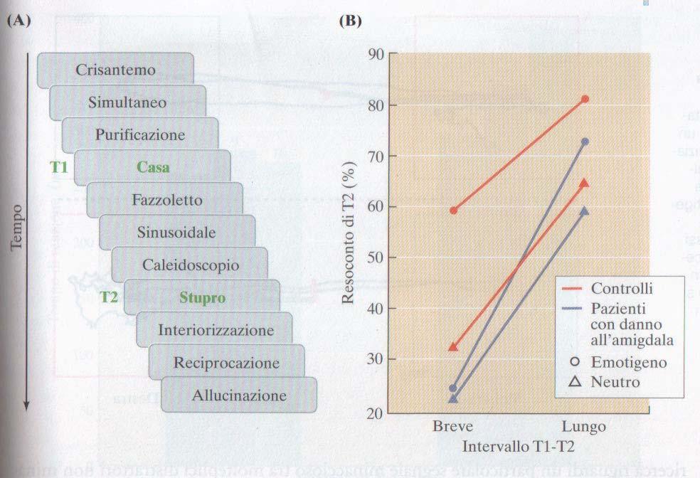 Influenze emotive sulla Percezione Gli studi dell influenza emotiva sulla percezione di solito indagano se stimoli emotigeni visivi o uditivi mascherati inducono risposte automatiche, modulino