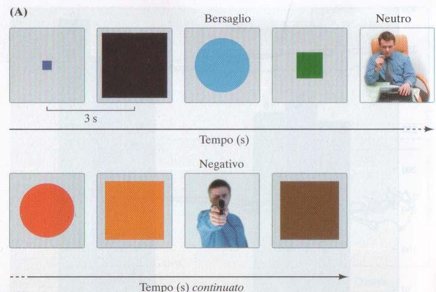 Influenze emotive sull attenzione ü I bersagli attentivi (cerchi) attivano la via dorsale (PFC dorsale aumenta;