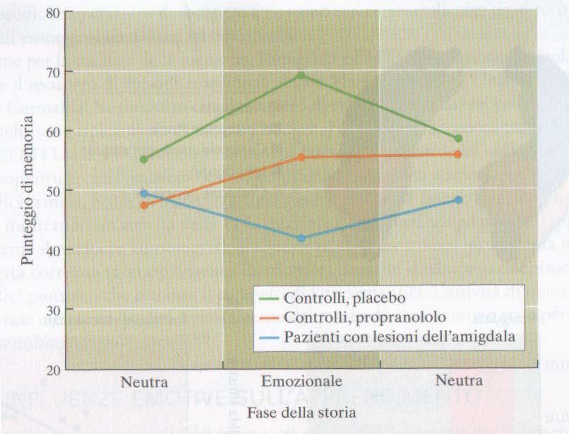 Influenze emotive sulla memoria L ipotesi della modulazione della memoria negli esseri umani è sostenuta da tre linee di ricerca: 1.Manipolazioni degli ormoni dello stress 2.