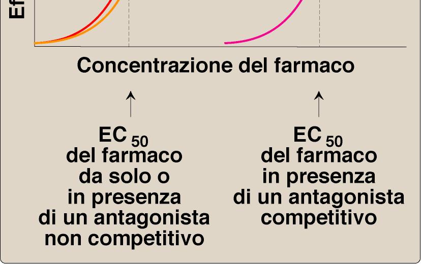 con un chemioterapico Antagonismo non-competitivo: il blocco non è sormontabile da agonisti