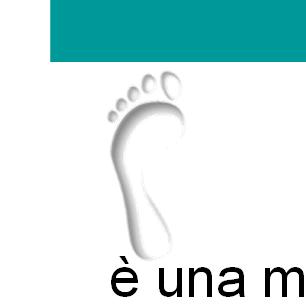 Lo strumento del CARBON FOOTPRINT Definizione di Carbon Footprint: è una misura che esprime, in termini di CO 2 equivalente, il totale