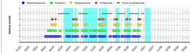 Infezioni