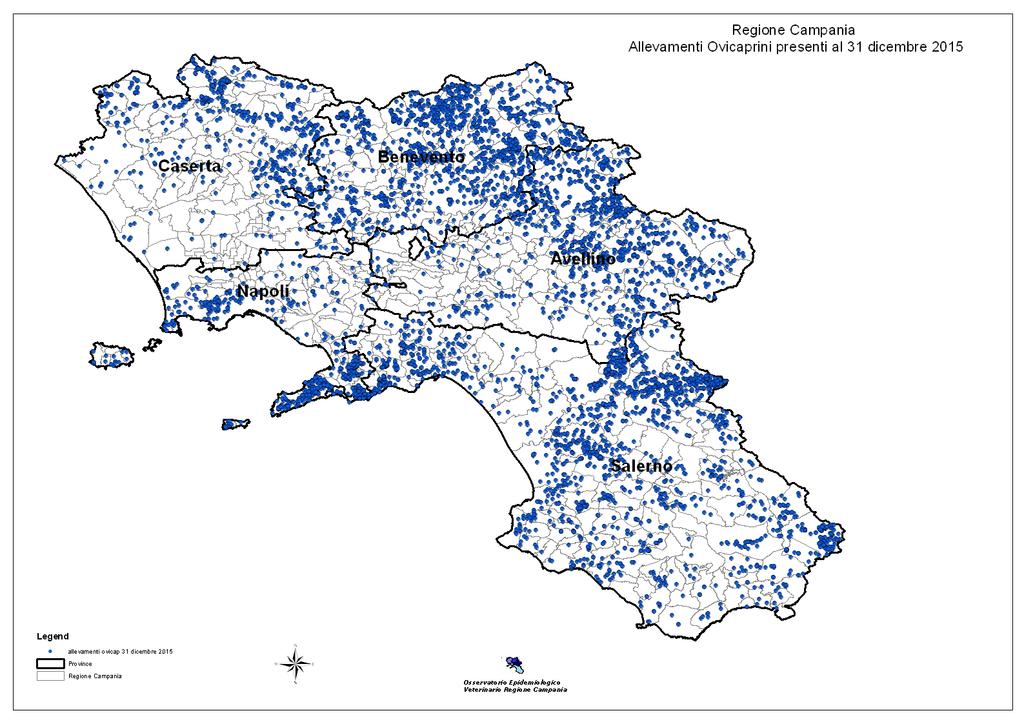 Distribuzione geografica degli allevamenti Ovini e Caprini (ovi caprini) sul territorio campano.