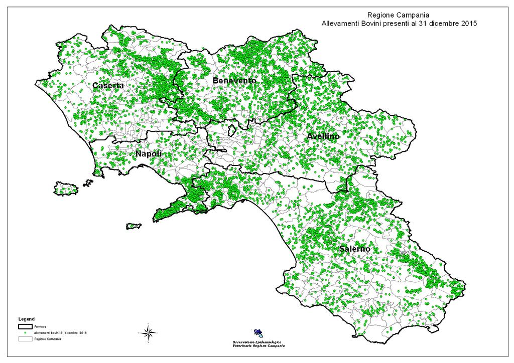 Distribuzione geografica degli allevamenti bovini nel territorio campano.