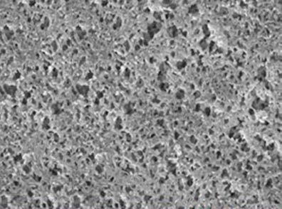 come l alcool e il dimetilsolfossido Assolutamente minima la quantità di estraibili Membrana per rimuovere particelle in HPLC Filtrazioni sterilizzanti con rimozione di batteri Bioassay Filtrazione