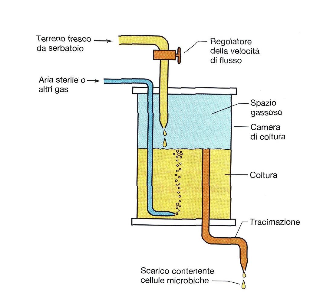 Chemostato - La resa (densità di popolazione) può essere regolata variando la concentrazione del nutriente limitante, rappresentato da una fonte di carbonio o di azoto - La velocità di crescita può