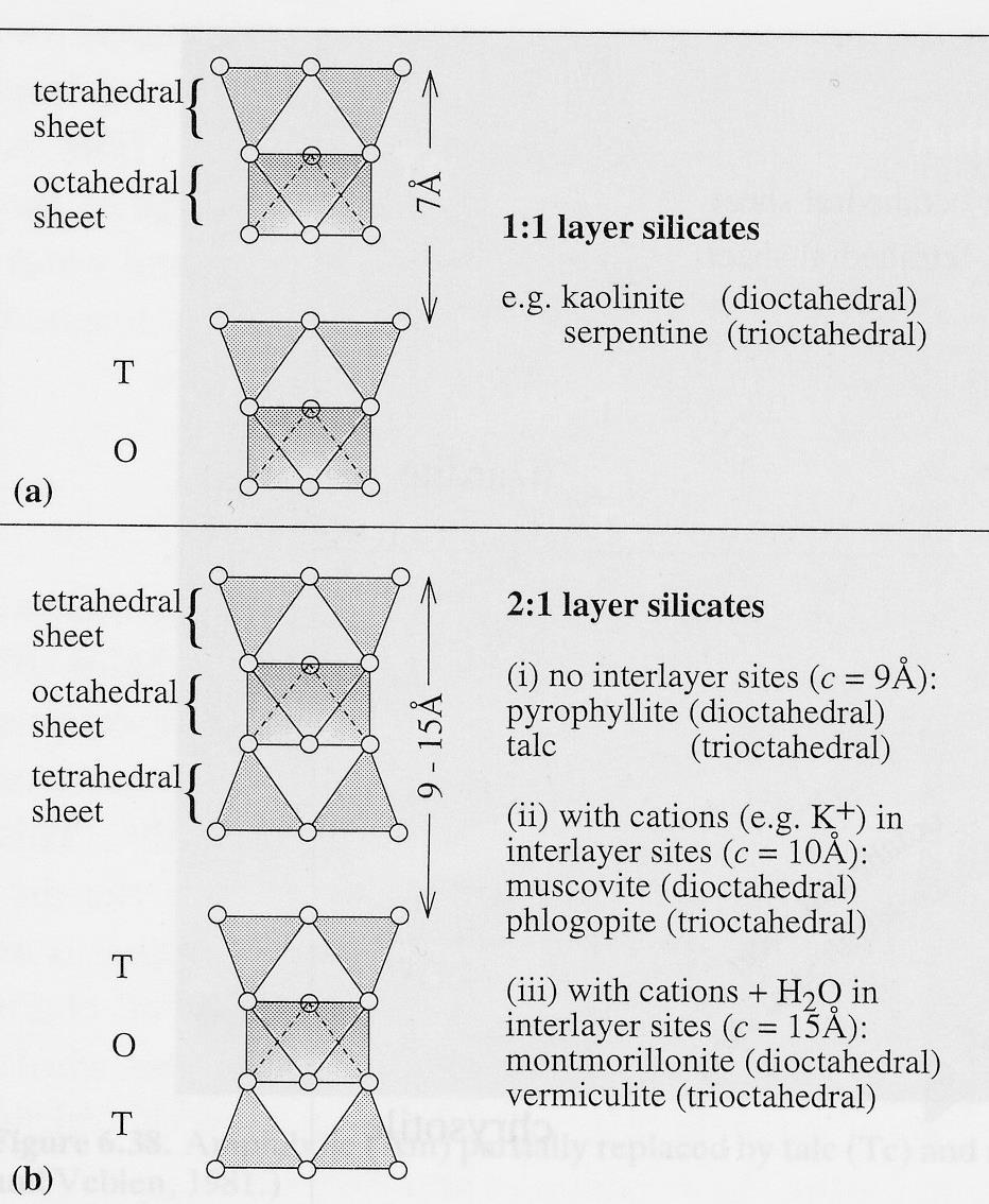 (13) - Mineralogia 2017/2018_RFM-fillosilicati Tipo TO Caolinite: Al 2 Si 2 O 5 (OH) 4 Serpentino: Mg 3 Si 2 O 5 (OH) 4 Tipo TOT Pirofillite: Al 2 Si 4 O 10 (OH) 2 Talco: Mg 3 Si 4