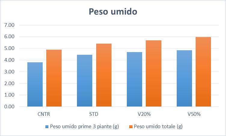 prime 3 piantine (g) Peso umido totale (g) Peso secco primi 3 (g)