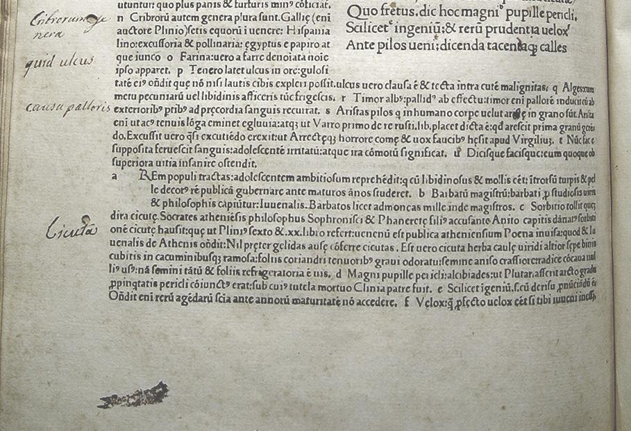 edizione stampata nel 1482