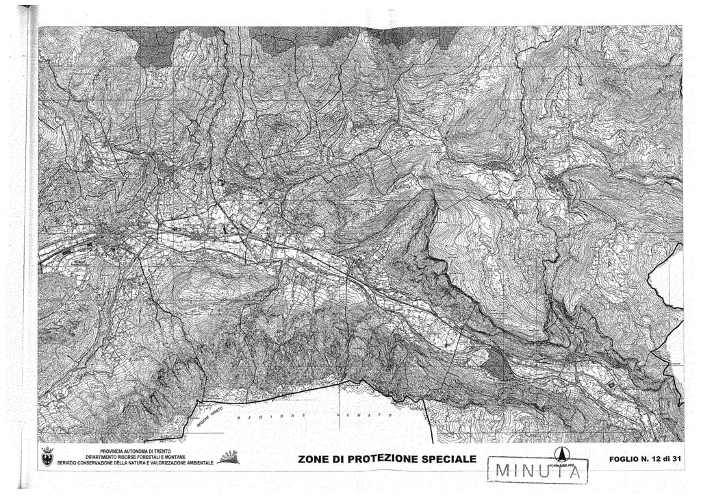 R E G o N E E N E r O PROVINCIA AUTONOMA DI TRENTO SERVIZIO CONSERVAZIONE DELLA