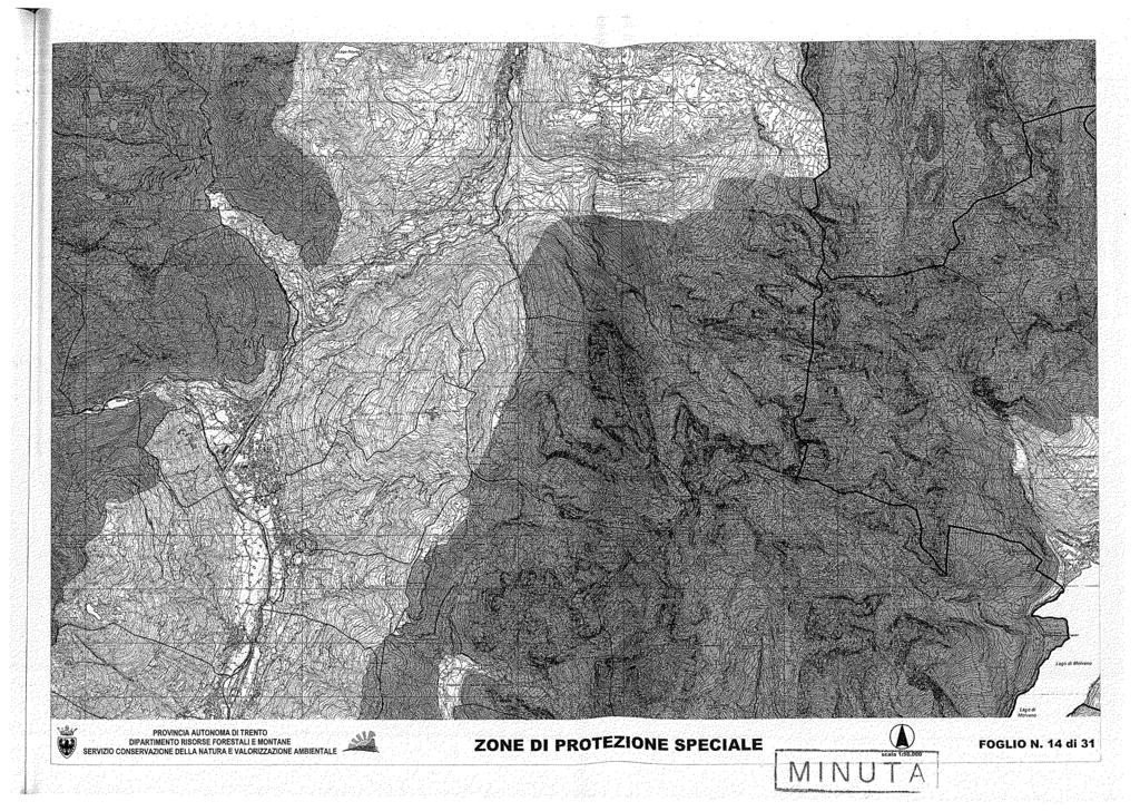 ~~.. PROVINCIA AUTONOMA DI TRENTO Wl ~ SERVIZIO