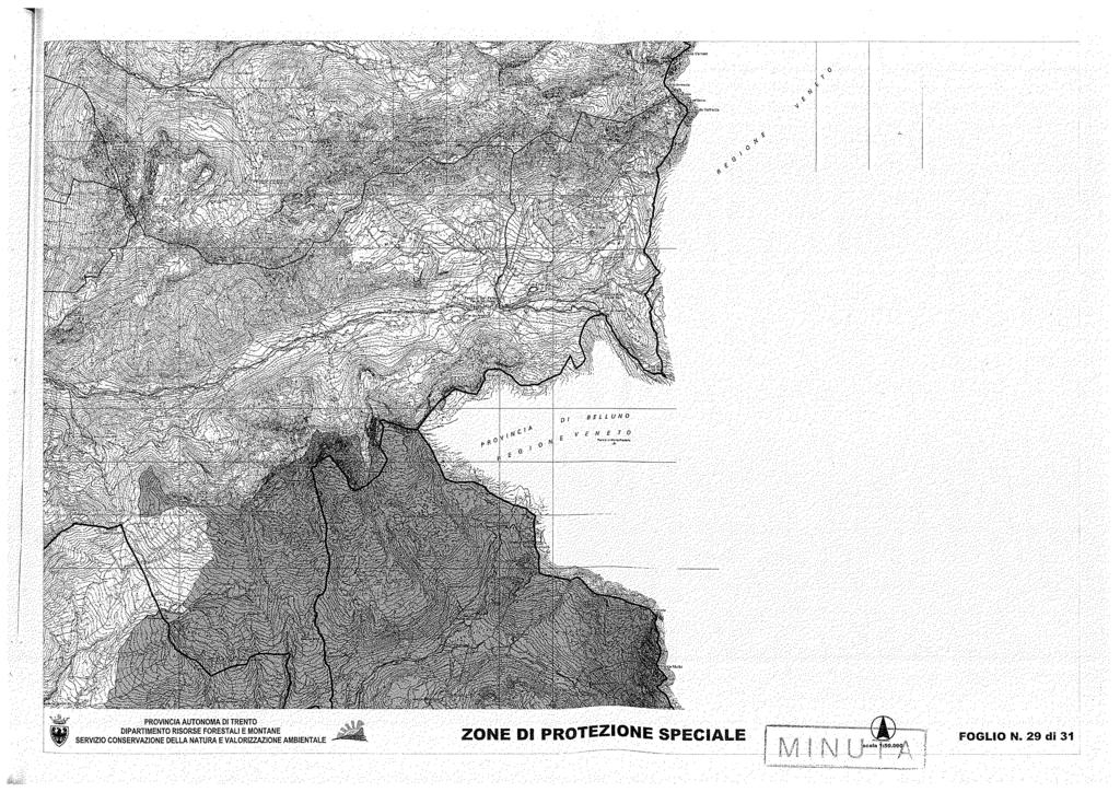 BELLUNO E N E r O ZONE DI