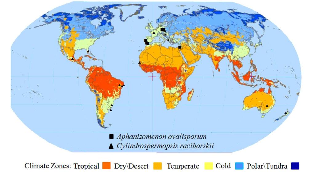 B) Eutrofizzazione e cambiamenti climatici Implicazioni del riscaldamento climatico: effetti della temperatura sui cianobatteri Il cambiamento climatico è ritenuto un