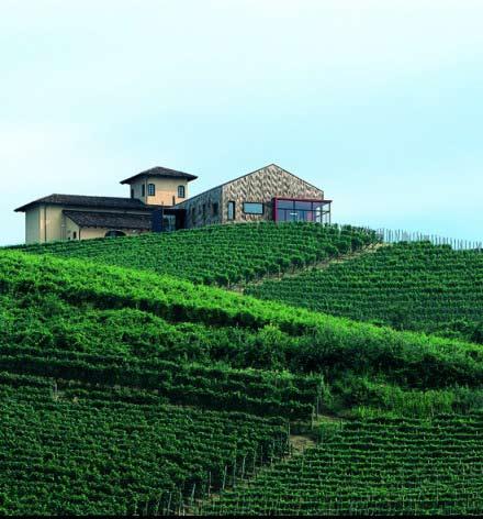 Percorsi paralleli a cura di Andrea Delpiano, Enrico Boffa In questa pagina: La Brunella a Castiglione Falletto (CN) Gite in collina 1: i luoghi del vino, tra fabbrica e paesaggio I concetti di