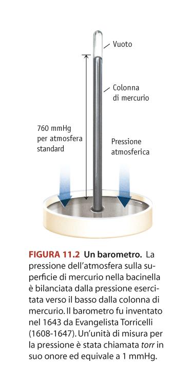 La pressione del gas Torricelli prese un lungo tubo di vetro, chiuso ad una estremità, lo riempì di mercurio e lo capovolse.