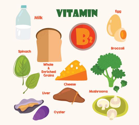 La vitamina B2 o riboflavina Le fonti alimentari sono numerose e ben distribuite sia in campo vegetale (cavoli, spinaci ed altre verdure a foglia verde) e animale (fegato, carni, pesce,