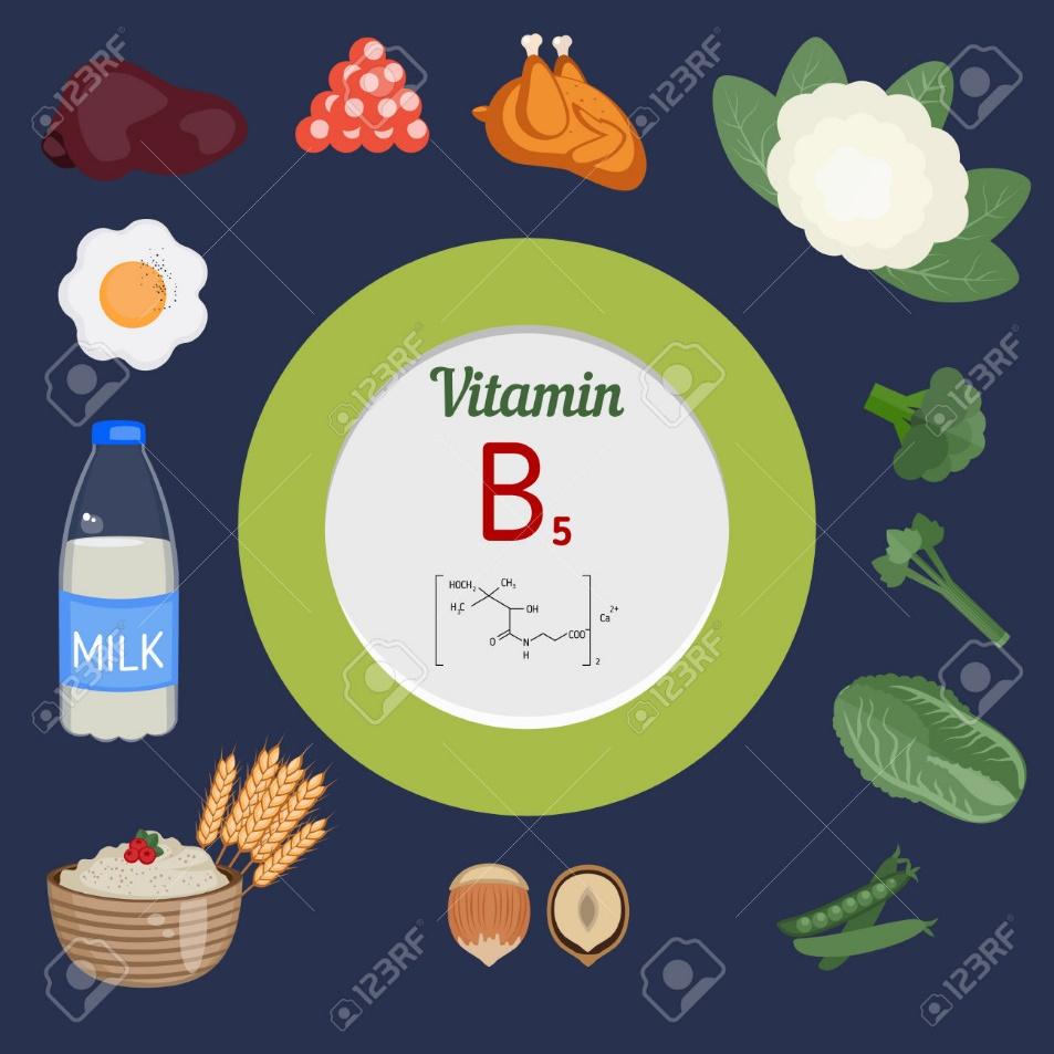 La Vitamina B5 o acido pantotenico (termolabile) La vitamina B5 si trova in diversi alimenti di origine animale o