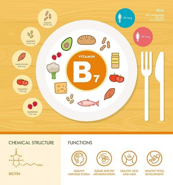 La vitamina B7 o biotina Le fonti alimentari sono numerose in quanto questa vitamina è ampiamente diffusa negli alimenti Fonti: verdure, i cereali integrali, il fegato e le uova.
