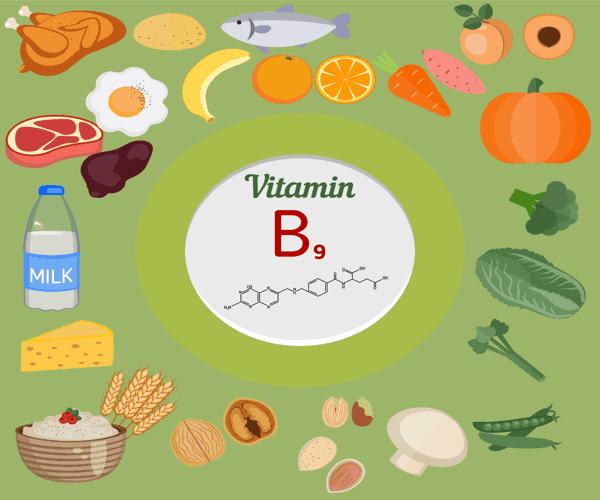 La vitamina B9 o acido folico Si trova in abbondanza in alcuni alimenti come le verdure a foglia verde (spinaci, broccoli, asparagi, lattuga), i legumi, i