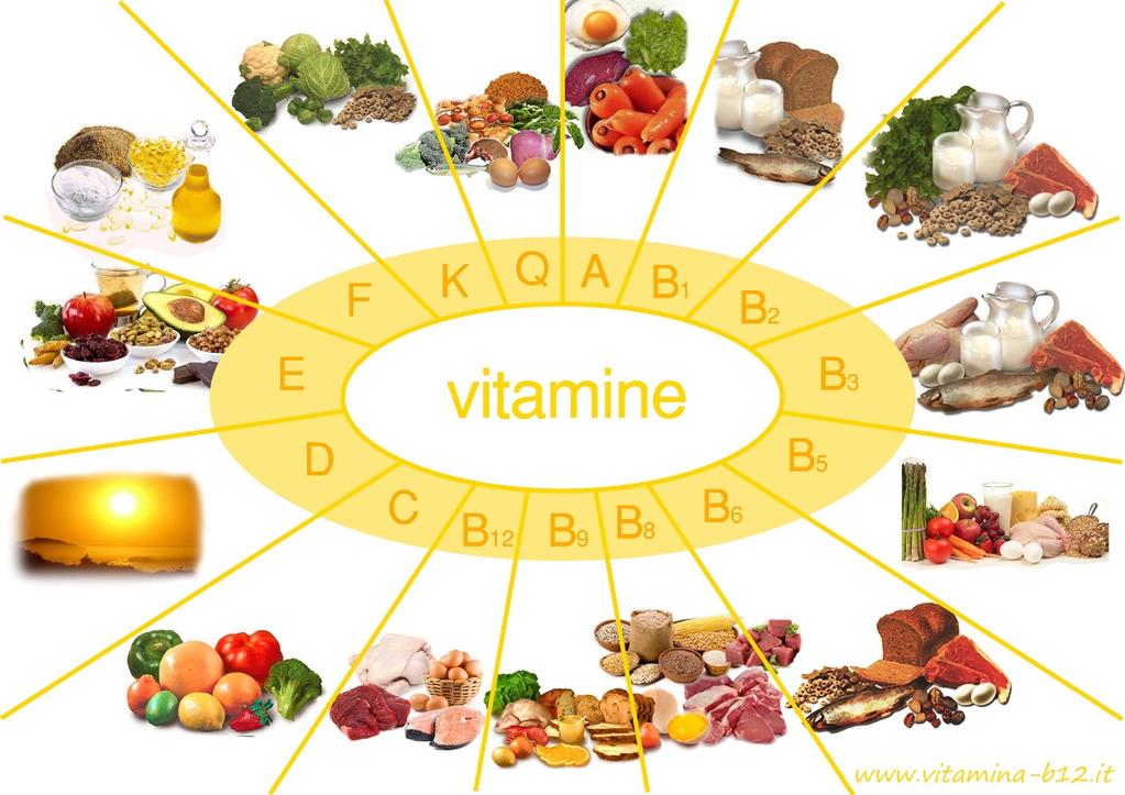 LE VITAMINE Le vitamine sono sostanze organiche molto diverse fra loro, non sintetizzabili dall uomo (essenziali) si