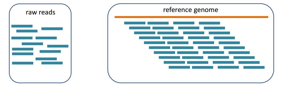 Allineamento Allineamento: identificare la posizione delle reads rispetto al genoma di riferimento