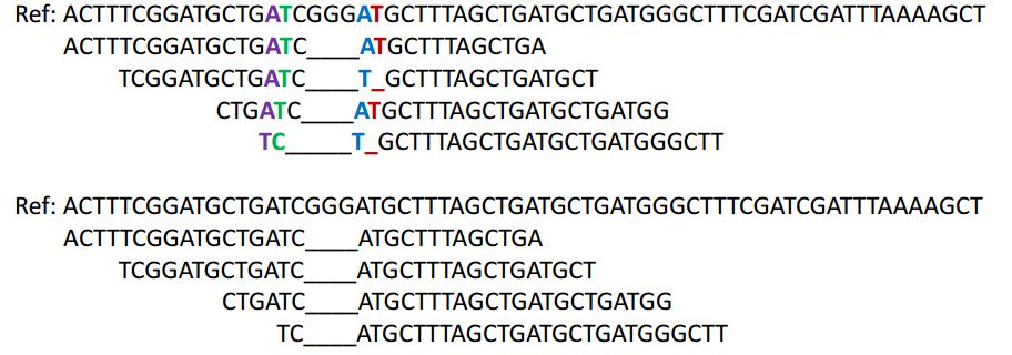 Riallineamento di INDEls Gli algoritmi di allineamento hanno difficoltà nell'allineare piccole INDELs presenti nel campione (rispetto alla seqeuenza di riferimento), soprattutto se presenti verso la