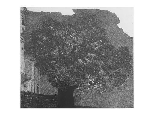 1. Il leccio, 1972, mm 325 x 345, Acquaforte su