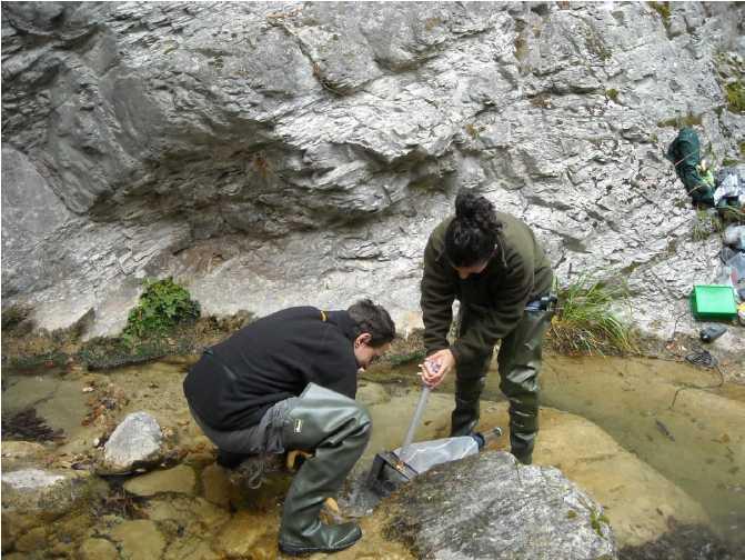 MACROINVERTEBRATI BENTONICI Come si osservano: 1.