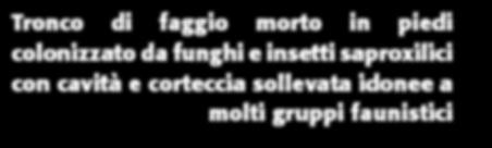 Considerata la necessità di stabilire a livello locale quale e quanta necromassa rilasciare, le norme fissano una soglia minima che potrà essere integrata dai tecnici forestali che seguono gli