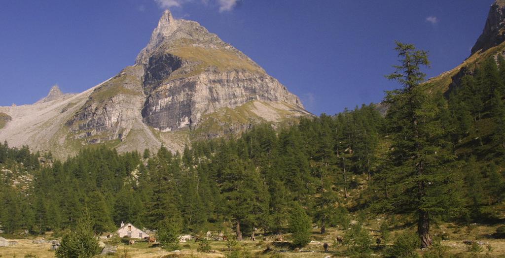 Pascolo in bosco Il pascolo in Piemonte è una risorsa importante sia dal punto di vista socioeconomico che ambientale, poiché attraverso tale pratica vengono mantenuti molti degli habitat aperti che