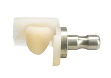 della sostanza dentaria residua restauri in VITABLOCS RealLife possono avere una quantità maggiore di zona cervicale o incisale.