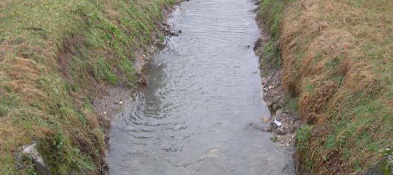 troppo vicino all acqua.