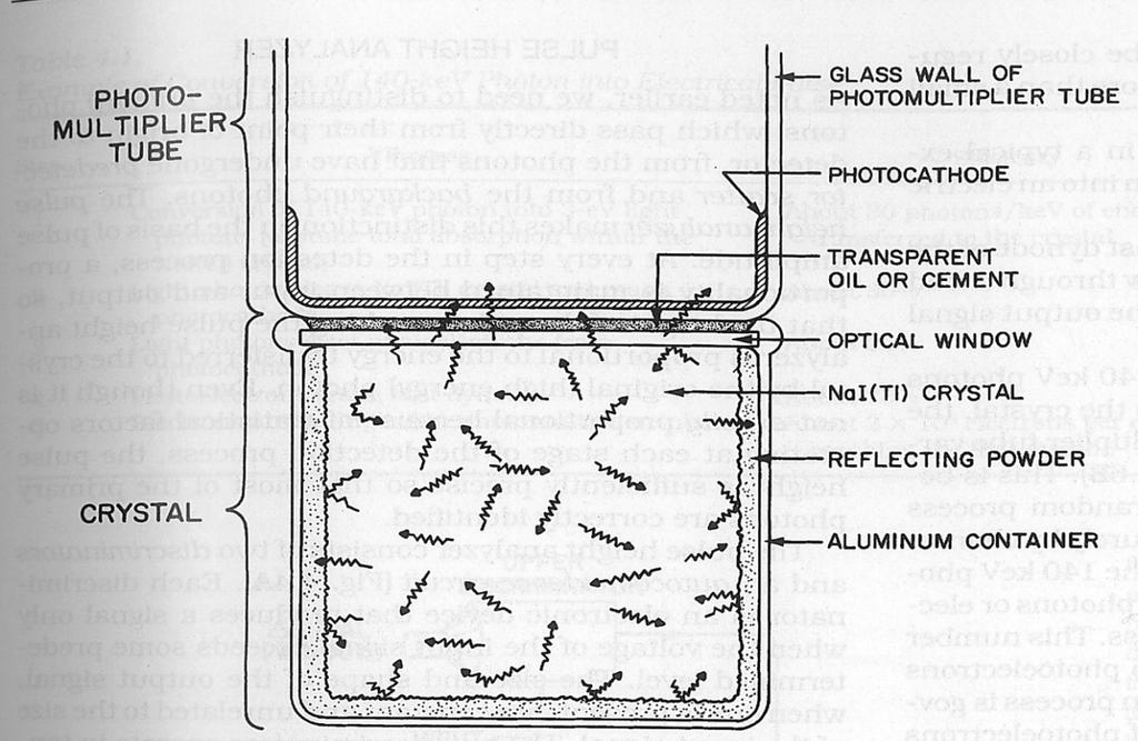 In un rilevatore efficiente circa il 30% dei fotoni luminosi raggiunge il fototubo Medicina Nucleare: