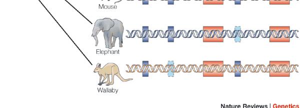 Emmanouil et al.