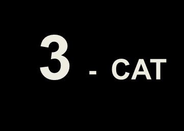 3 - CAT Es.