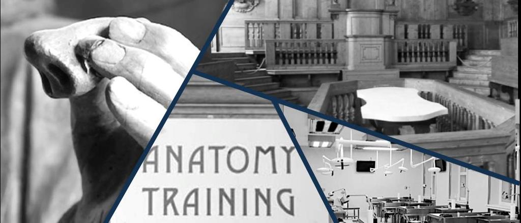 15 Giugno 2018 ANATOMY TRAINING CENTER Medical University of Vienna Comitato