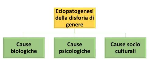 DIAGNOSI Nella maggior parte degli individui l identità di genere è pienamente in linea con il sesso attribuito alla nascita in base ai genitali esterni.