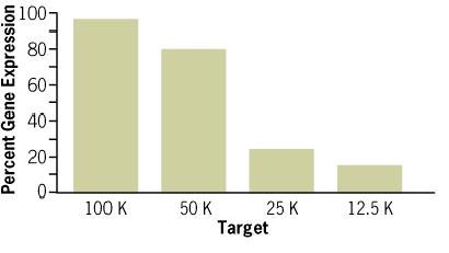 Transfection of sirnas Optimal cell plating density COS-7 cells/well (24 well