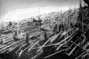 Tunguska 1908 foresta bruciata per 2150 Km quadrati e circa 80