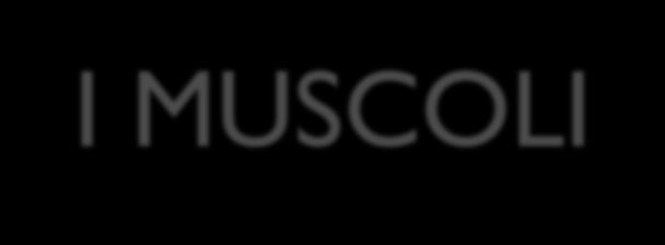 I MUSCOLI I muscoli sono il motore di un apparato passivo (osteo -articolare ) TONICITA 1) E lo stato di contrazione attiva, debole ma