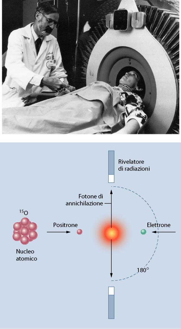 Tomografia a emissione di positroni (PET) Misura il
