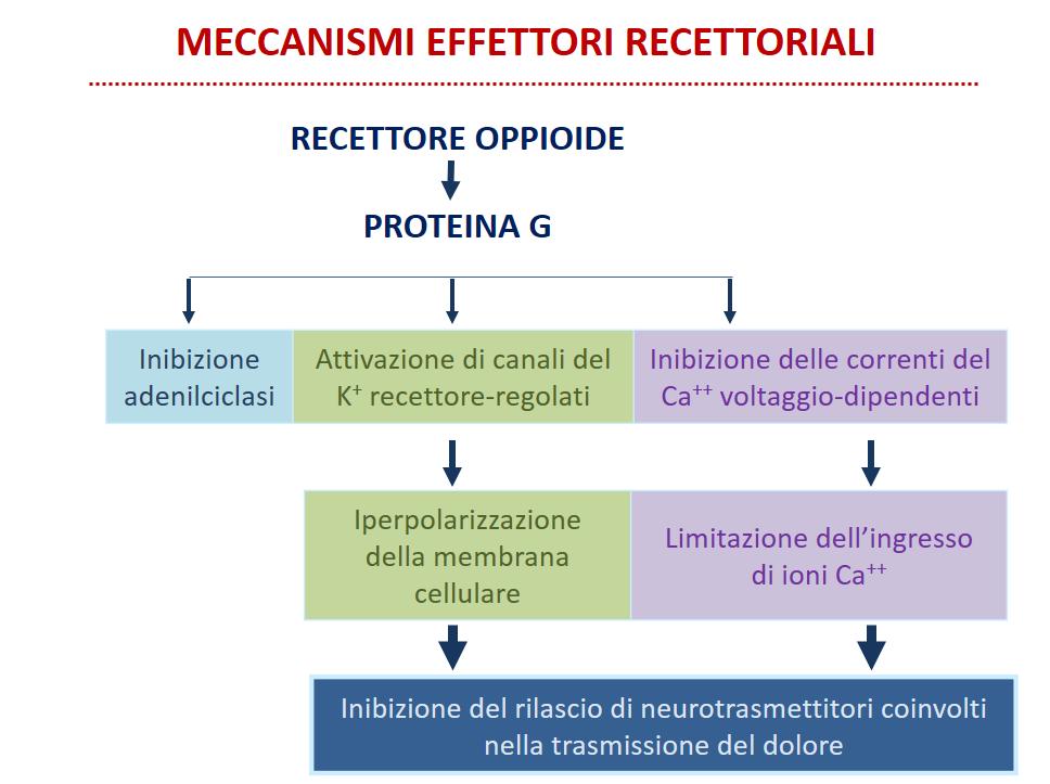 Oppioidi