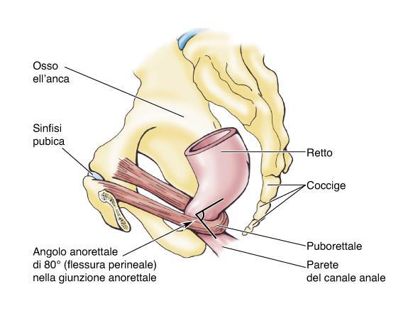 RETTO: CURVATURE (CURVE O