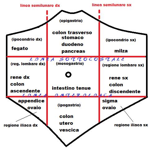 DOLORE ADDOMINALE ACUTO ESAME OBIETTIVO Tenere conto dell