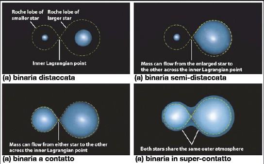 Scambio di massa nelle binarie Almeno il 50% delle stelle sono membri di sistemi binari. In alcuni casi le stelle sono sufficientemente vicine da scambiarsi massa.