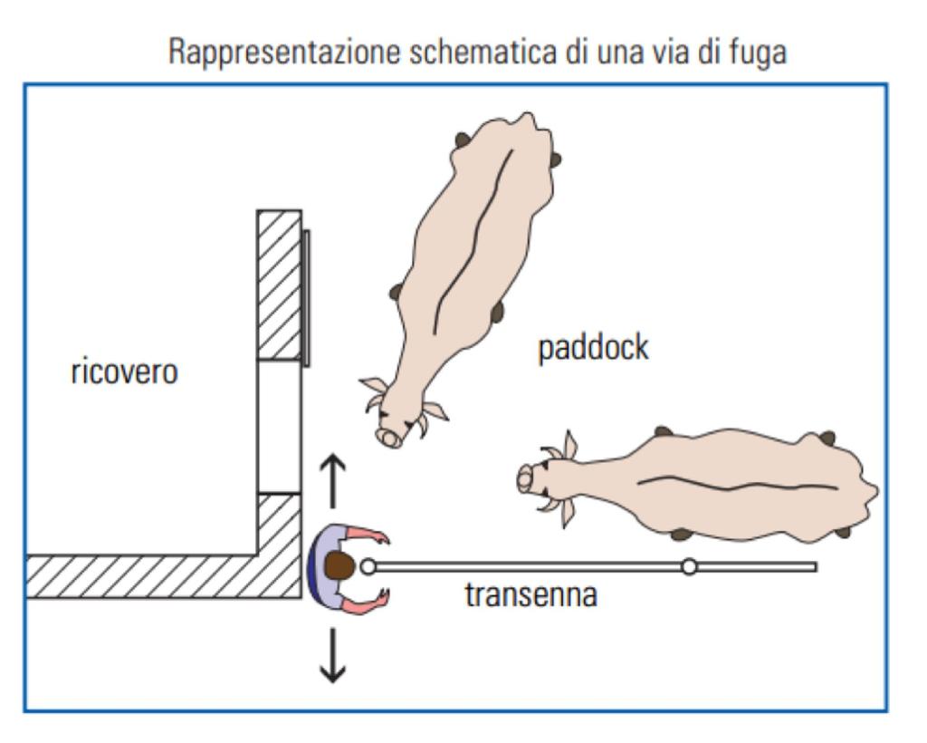 Misure di prevenzione Es.