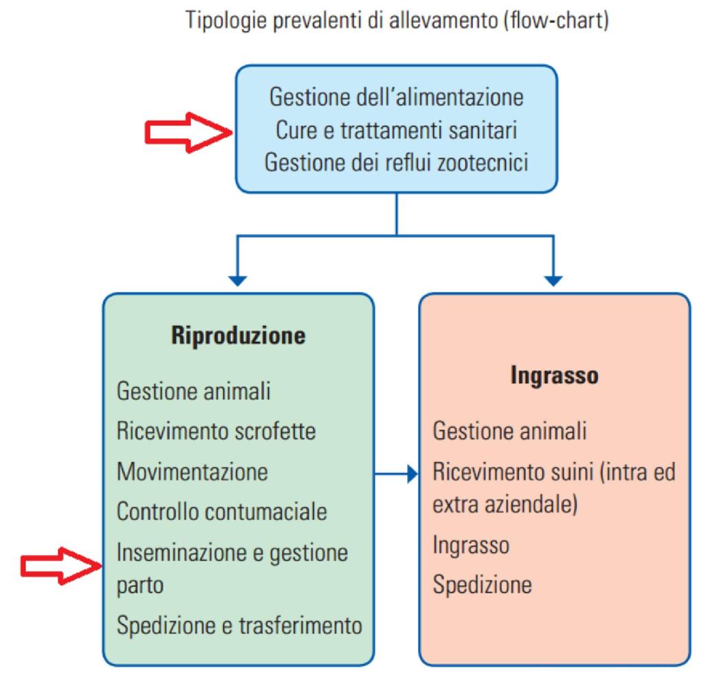 I rischi del veterinario Es.