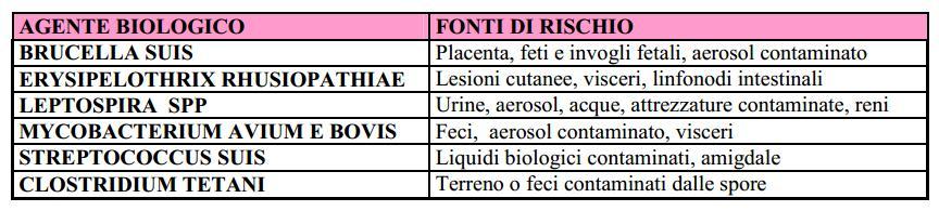 RISCHI BIOLOGICI SUINI